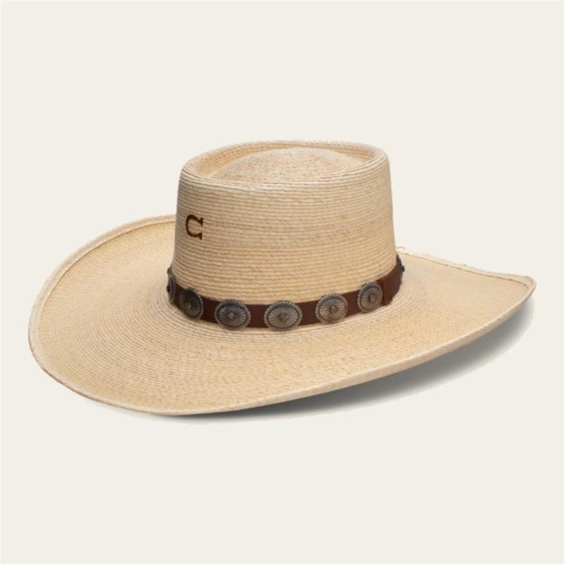RHE HATCO HIGH DESERT CHARLIE 1 HORSE