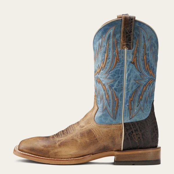 ARIAT INTERNATIONAL INC AR-36 11" ARENA