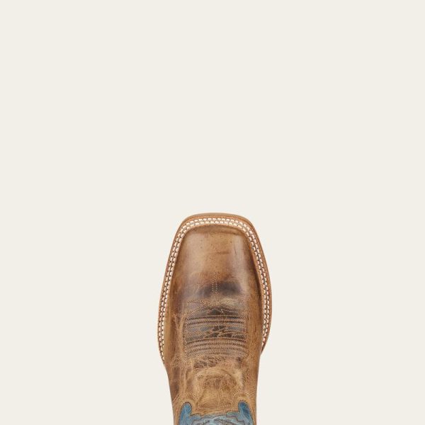 ARIAT INTERNATIONAL INC AR-36 11" ARENA - Image 6