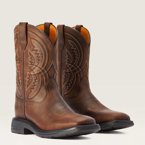 ARIAT INTERNATIONAL INC AR-208