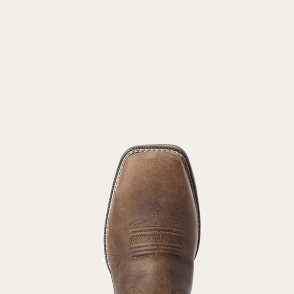  - Image 5