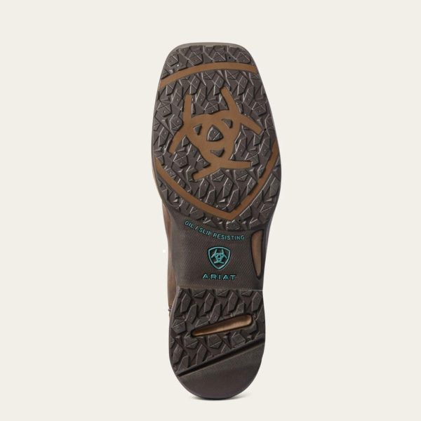  - Image 6