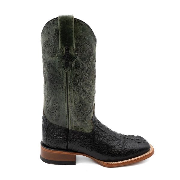 FERRINI F-9304 - Image 3