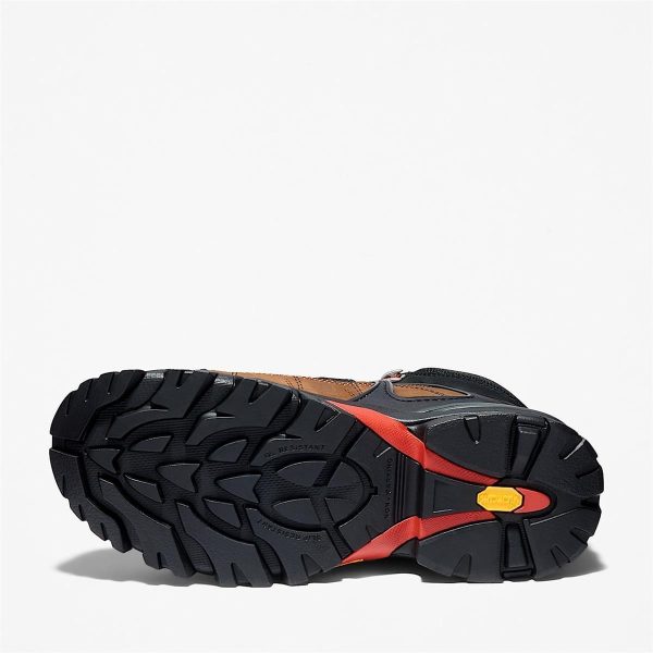 THE TIMBERLAND COMPANY TP-36 AT WP HYPERION - Image 6