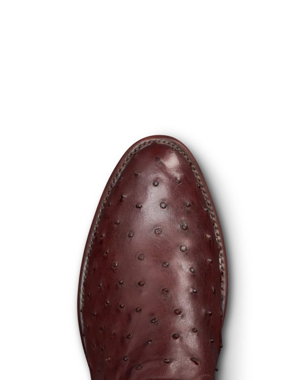  - Image 4